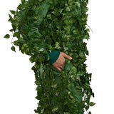 Men's Bush Costume