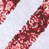 Candy Cane Sequin Skirt