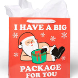 Naughty Santa Gift Bags - Set of 6